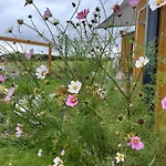 Makihyte Dom Na Wylacznosc Z Panorama Na Morze I Strefa Semesterbostad Sasino