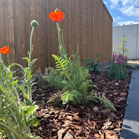 Nyaraló Makihyte Dom Na Wylacznosc Z Panorama Na Morze I Strefa Sasino