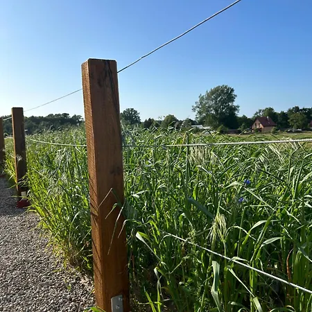 Makihyte Dom Na Wyłączność Z Panoramą Na Morze I Strefą * Sasino