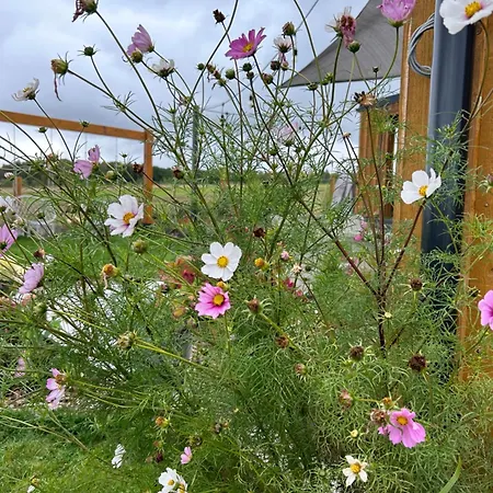 Makihyte Dom Na Wylacznosc Z Panorama Na Morze I Strefa 度假居 萨希诺