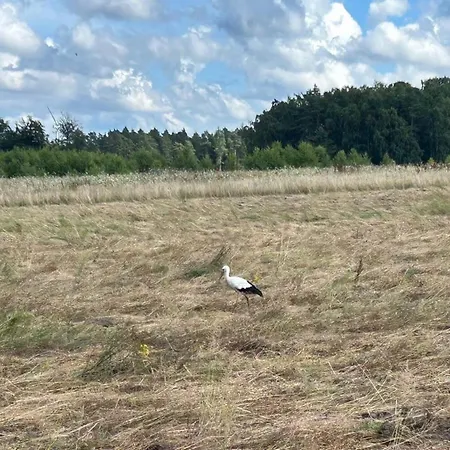 Makihyte Dom Na Wyłączność Z Panoramą Na Morze I Strefą Dom wakacyjny *