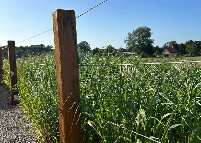 Makihyte Dom Na Wylacznosc Z Panorama Na Morze I Strefa * Sasino