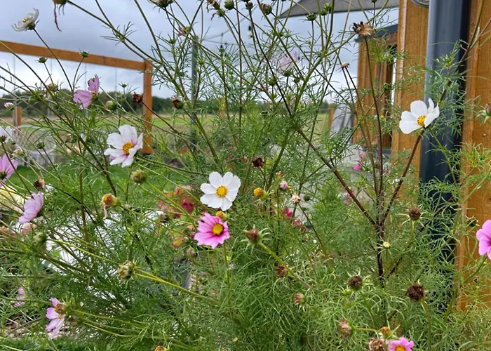 Makihyte Dom Na Wylacznosc Z Panorama Na Morze I Strefa Ferienhaus Sasino