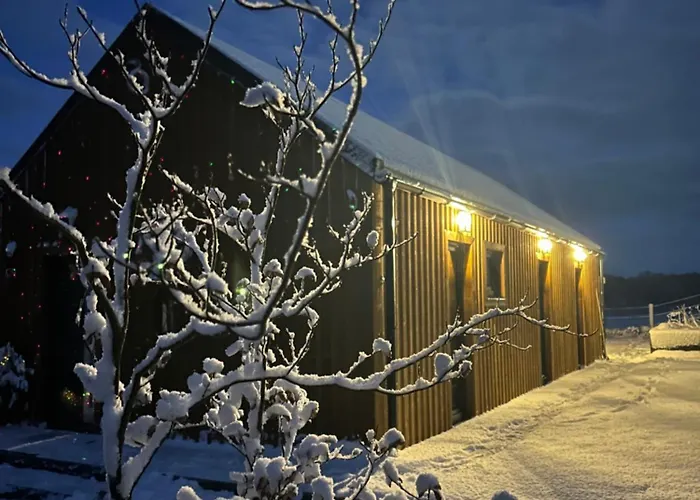 Ferienhaus Makihyte Dom Na Wylacznosc Z Panorama Na Morze I Strefa Sasino